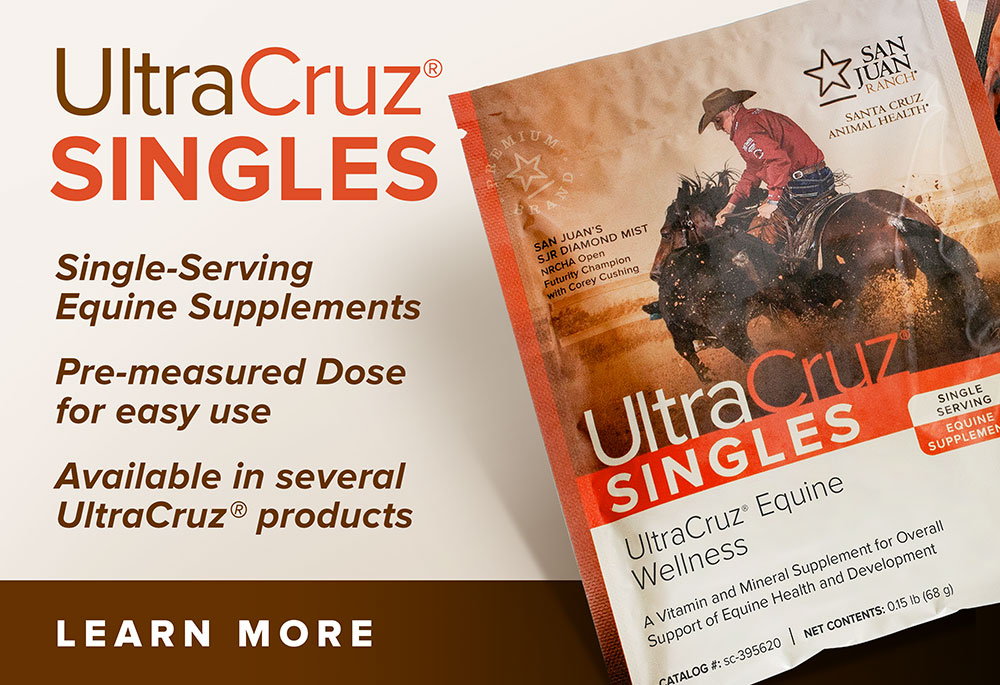 Horse Page Marketing Banner