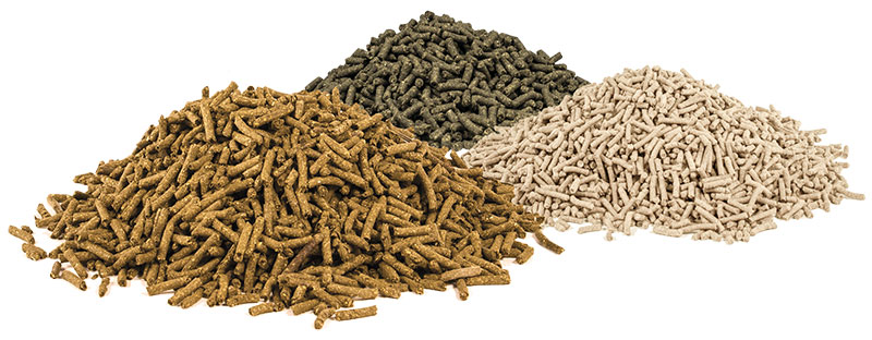 Senior Horse Joint Supplement - Piles of UltraCruz Supplement pellets